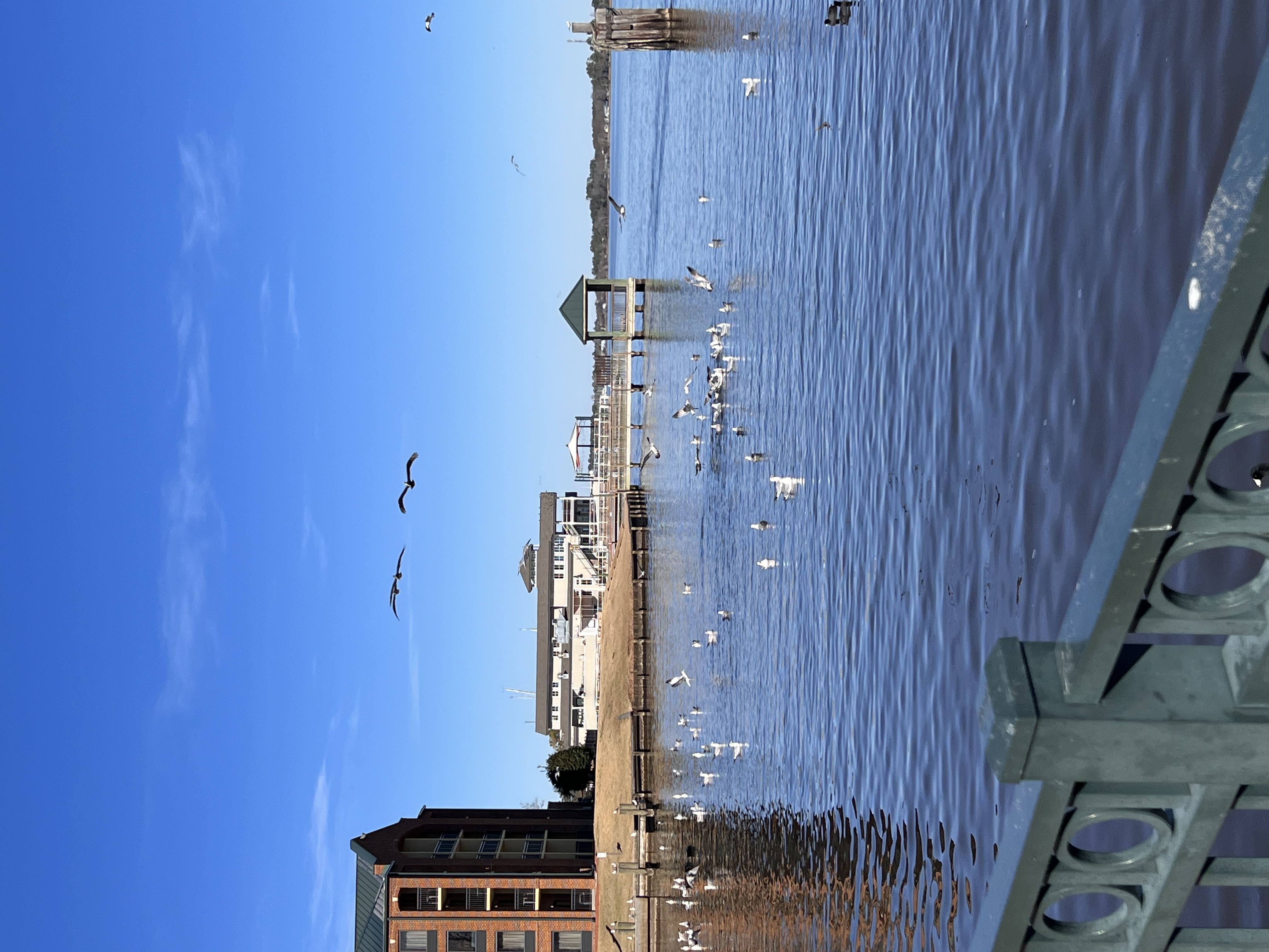 ./2023/01 - New Bern/IMG_6253.JPG